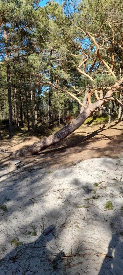 Domek Letniskowy Wczasy Nad Morzem Sasino Buitenkant foto